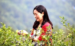 国产AV99激情久久无码天堂